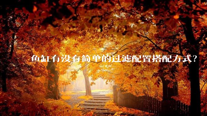鱼缸有没有简单的过滤配置搭配方式？