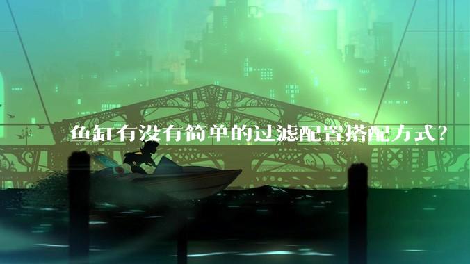 鱼缸有没有简单的过滤配置搭配方式？