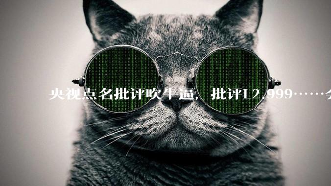 央视点名批评吹牛逼，批评L2.999……会被某法务部起诉吗？