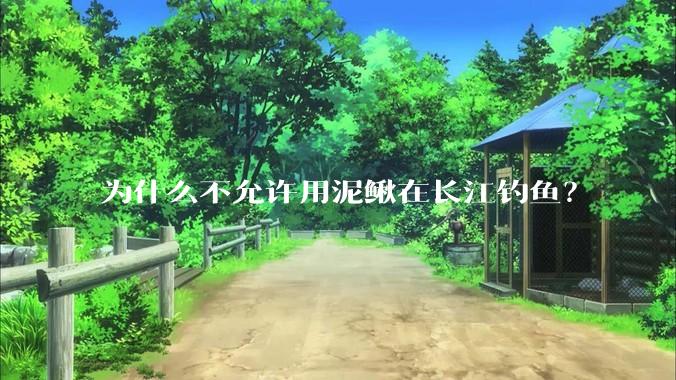 为什么不允许用泥鳅在长江钓鱼？
