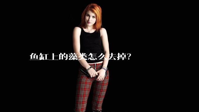 鱼缸上的藻类怎么去掉？