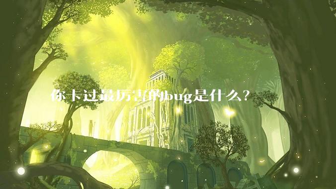 你卡过最厉害的bug是什么？