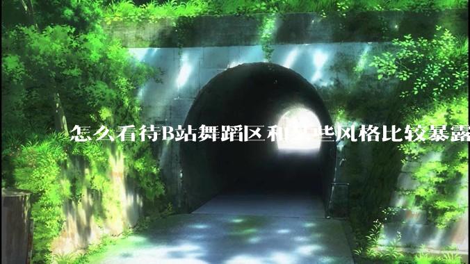 怎么看待B站舞蹈区和某些风格比较暴露的up？
