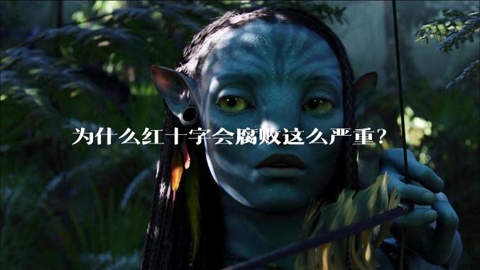 为什么红十字会腐败这么严重？