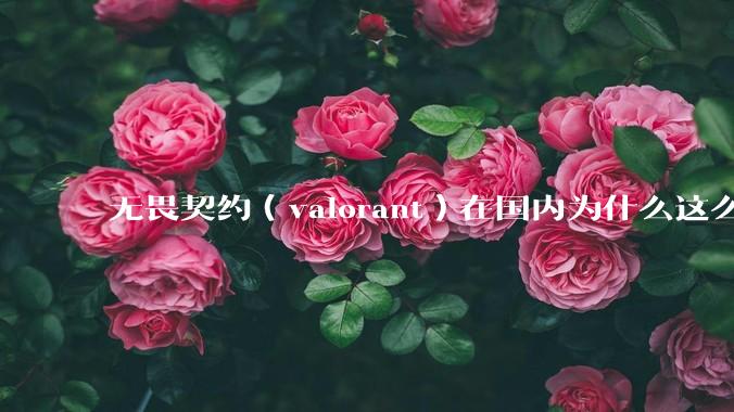 无畏契约（valorant）在国内为什么这么火?