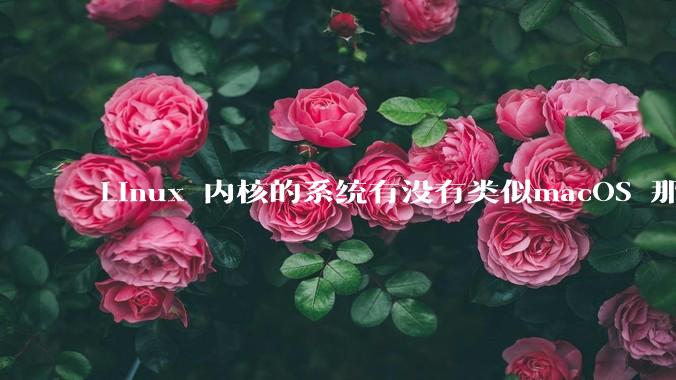 Linux 内核的系统有没有类似macOS 那样漂亮流畅的桌面环境的发行版本?